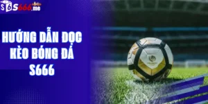 Hướng Dẫn Đọc Kèo Bóng Đá S666